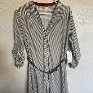 Passport Grey / Ivory Med Stripe Dress